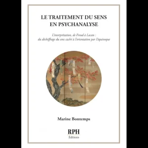 Le traitement du sens en psychanalyse