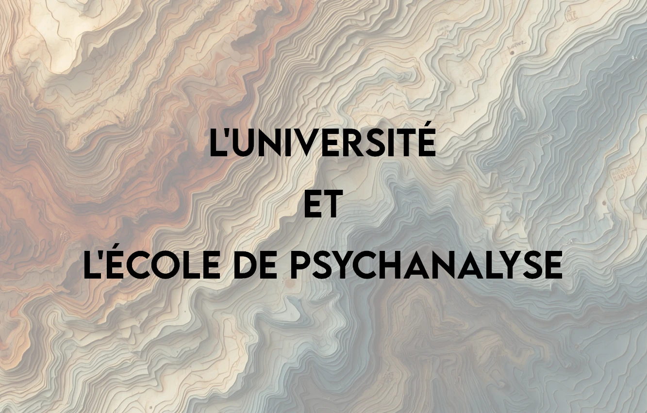 Lire la suite à propos de l’article L&rsquo;Université et l&rsquo;École de psychanalyse [vidéo]